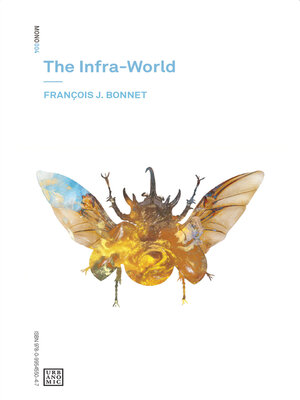 cover image of The Infra-World